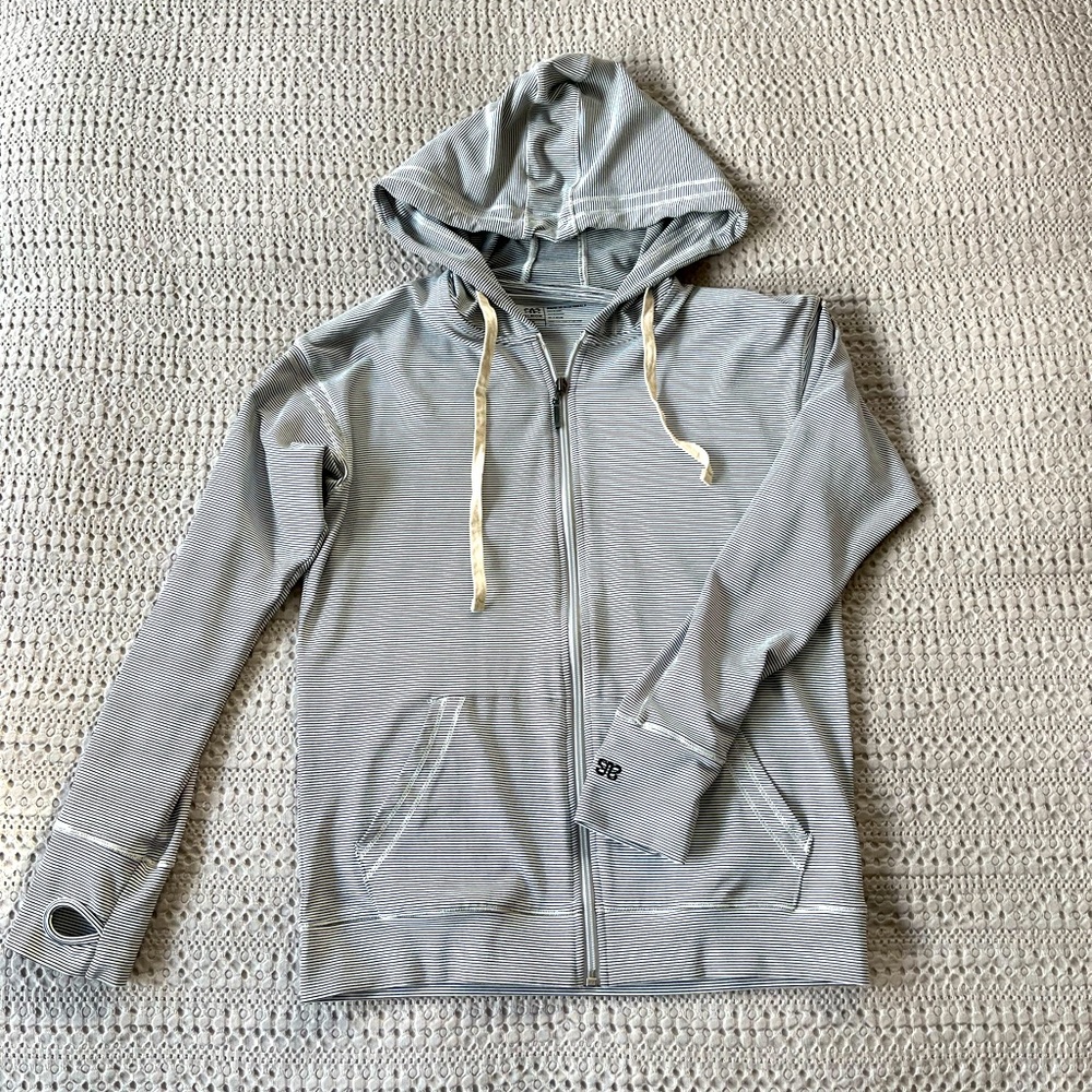 Albion Gray Striped Hoodie